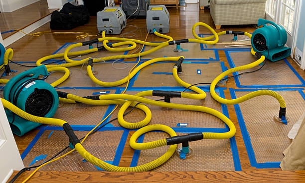 Professional Water Damage Repair technician working in Lonedell, MO